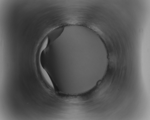 X0000089720626200707201821