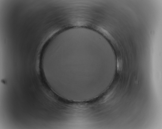 X0000089720627200707201821