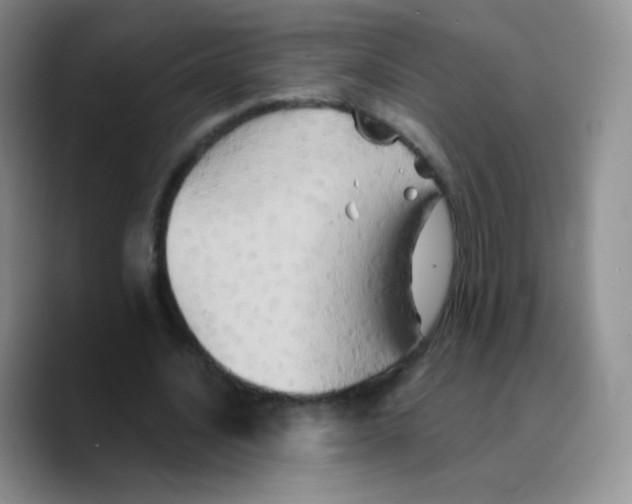 X0000089720628200707201821