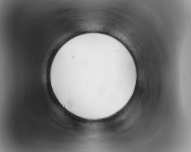 X0000089720629200707201821