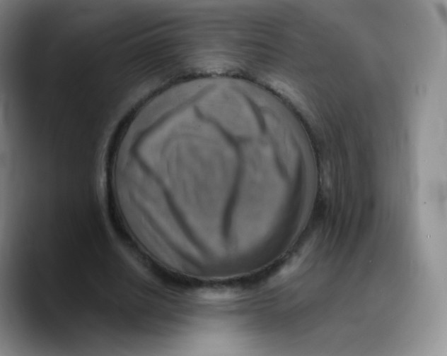 X0000089720630200707201821