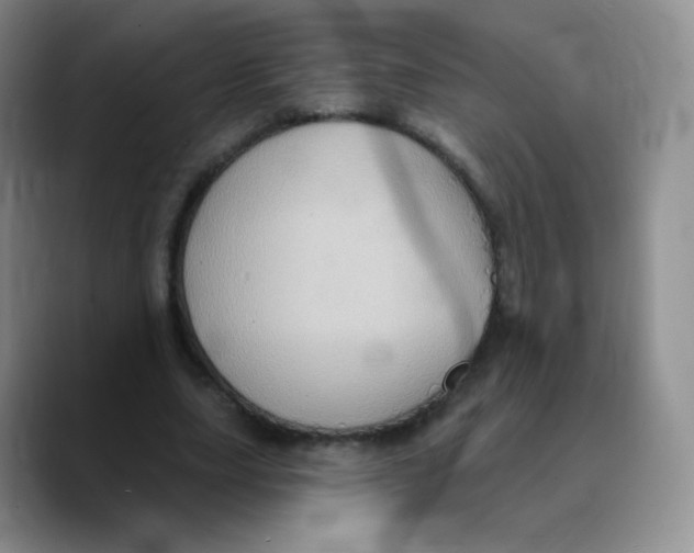 X0000089720631200707201821