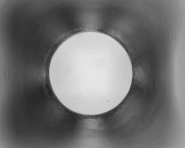 X0000089720632200707201821