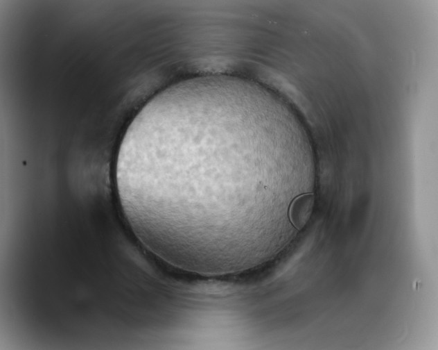 X0000089720633200707201821