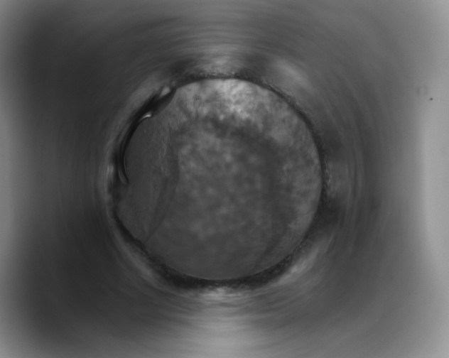 X0000089720634200707201821