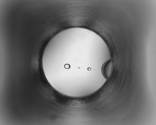 X0000089720635200707201821