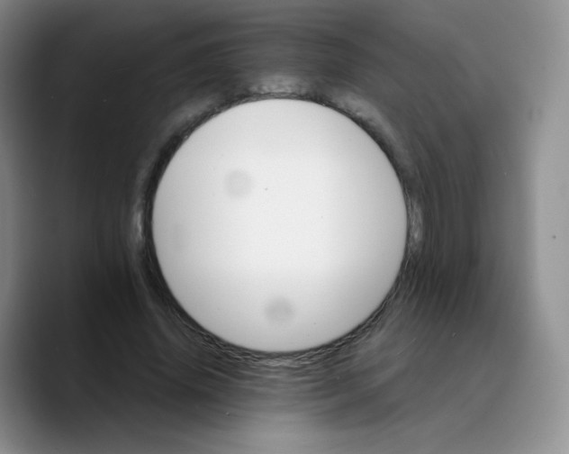 X0000089720636200707201821
