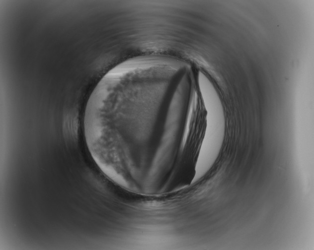 X0000089720637200707201821