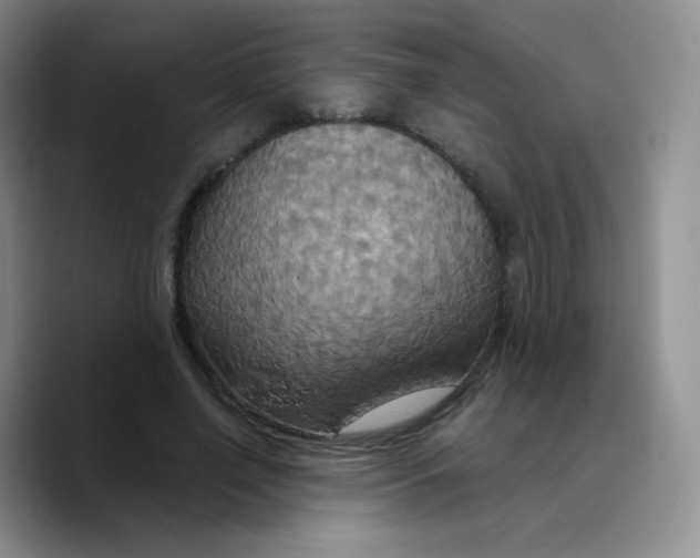 X0000089720638200707201821