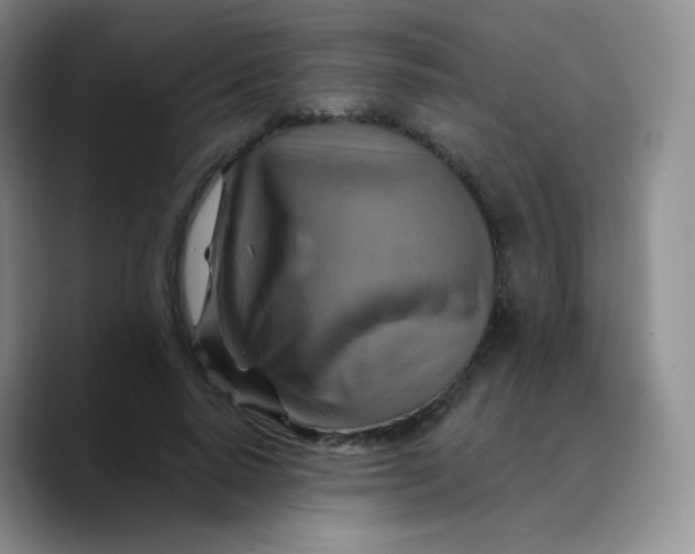 X0000089720640200707201821