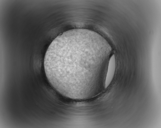 X0000089720645200707201821