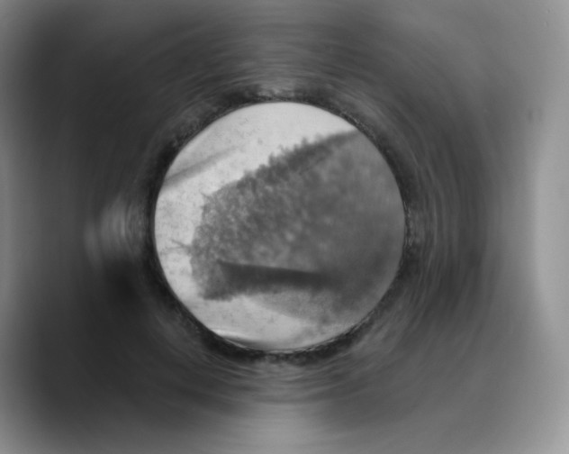 X0000089720648200707201821