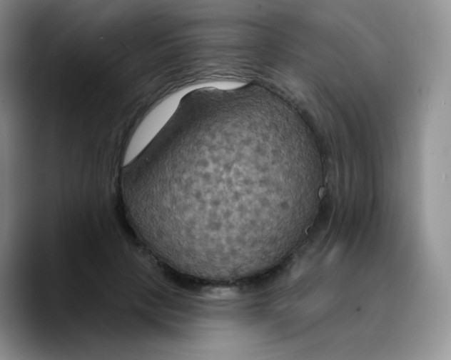 X0000089720649200707201821