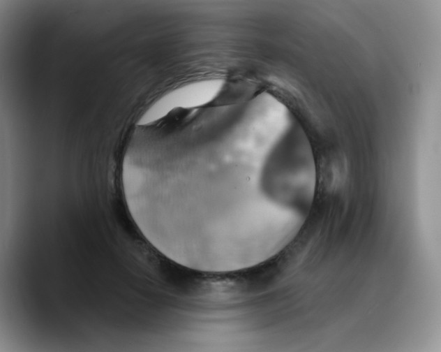 X0000089720650200707201822