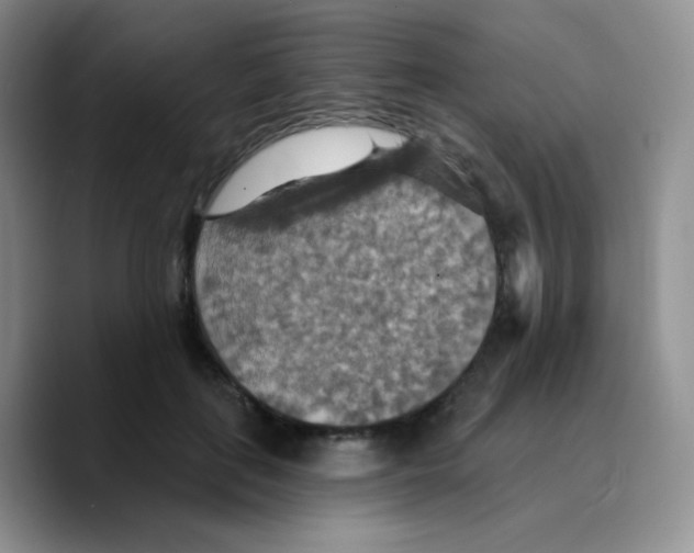 X0000089720651200707201822