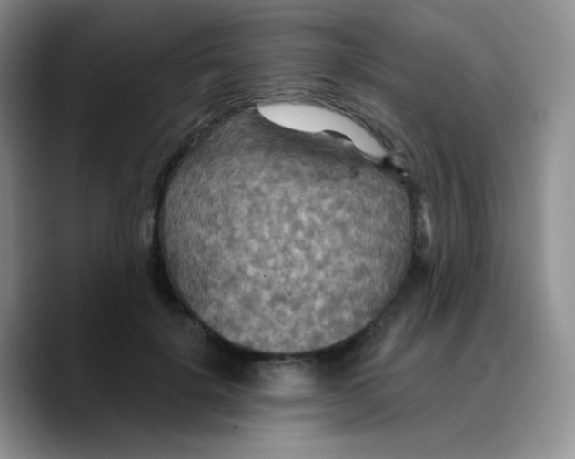X0000089720652200707201822