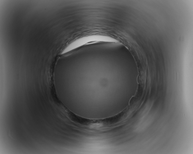 X0000089720653200707201822
