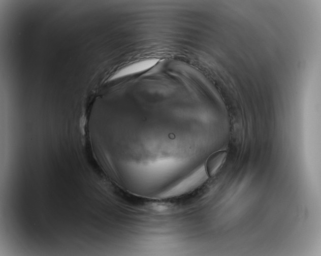 X0000089720654200707201822
