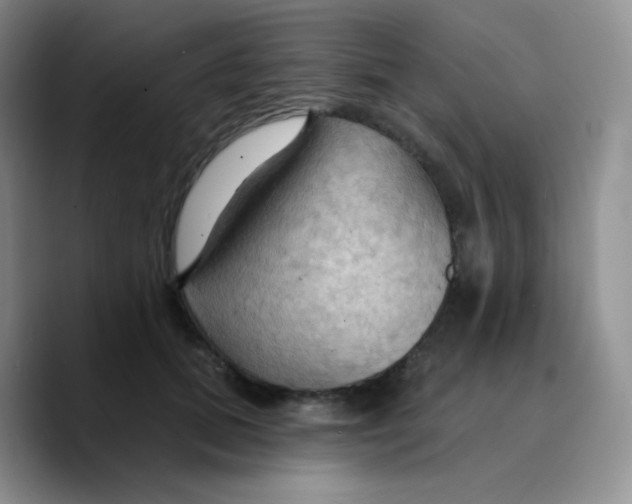 X0000089720655200707201822
