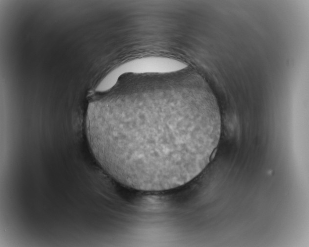 X0000089720657200707201822