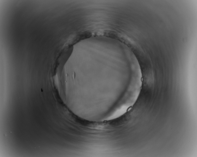 X0000089720661200707201822