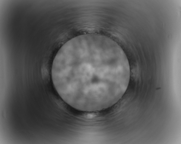 X0000089720662200707201822