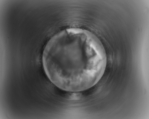 X0000089720663200707201822