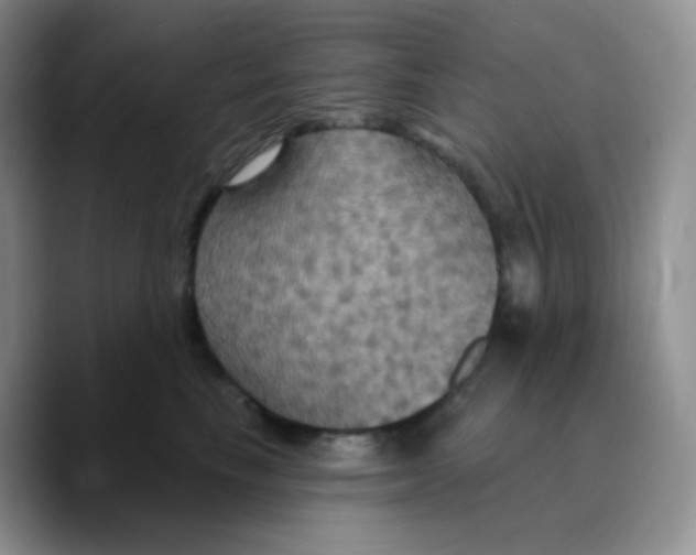 X0000089720665200707201822
