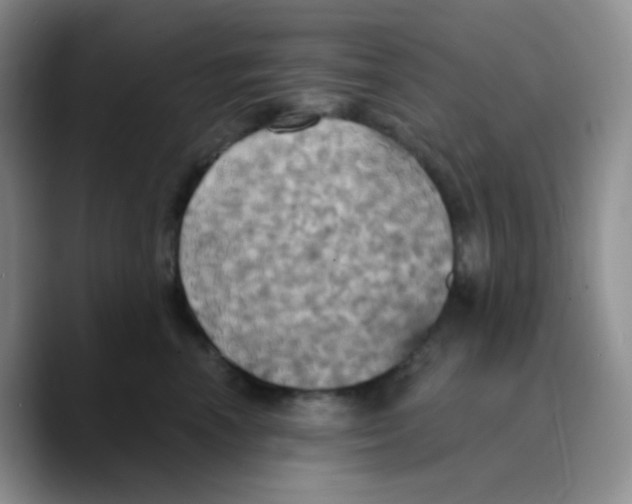 X0000089720666200707201822