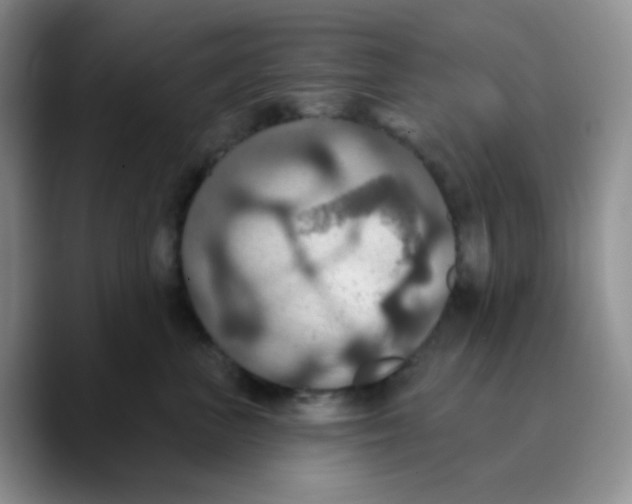 X0000089720667200707201822