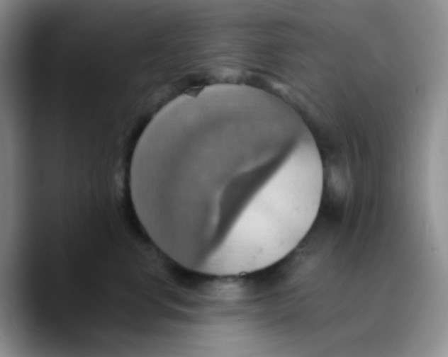 X0000089720668200707201822