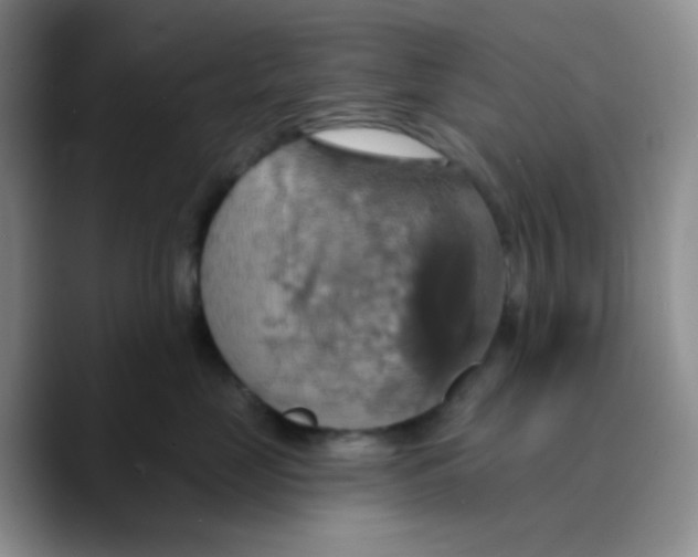 X0000089720669200707201822