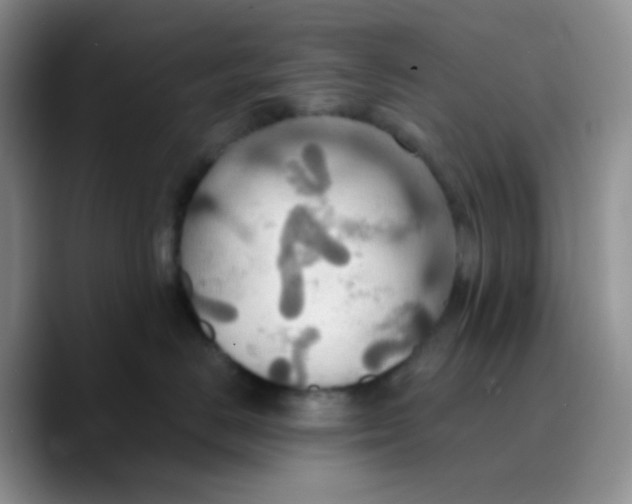 X0000089720670200707201822