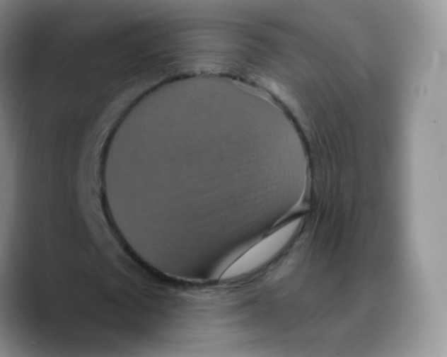 X0000089720673200707201821
