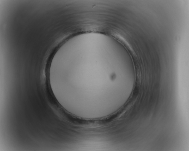 X0000089720674200707201821