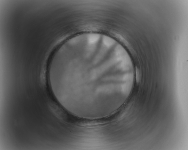 X0000089720675200707201821