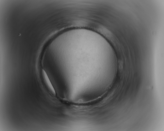 X0000089720676200707201821