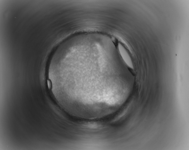 X0000089720677200707201821