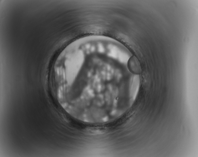 X0000089720679200707201821