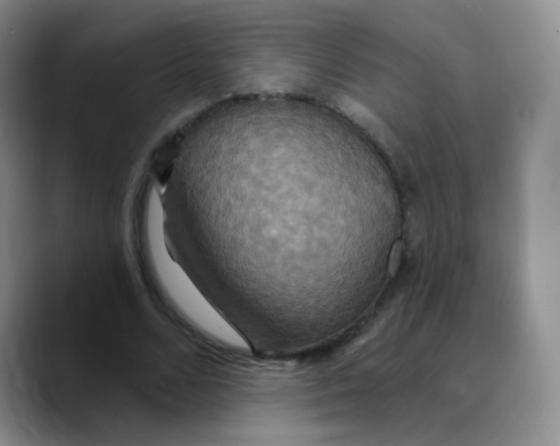 X0000089720680200707201821