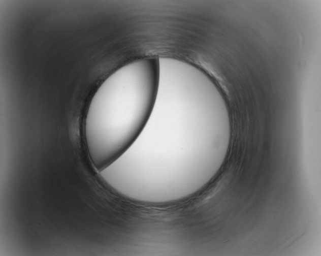 X0000089720681200707201821