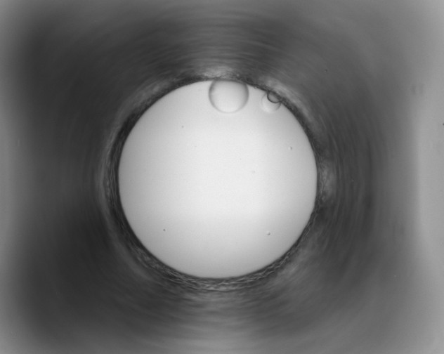 X0000089720682200707201821