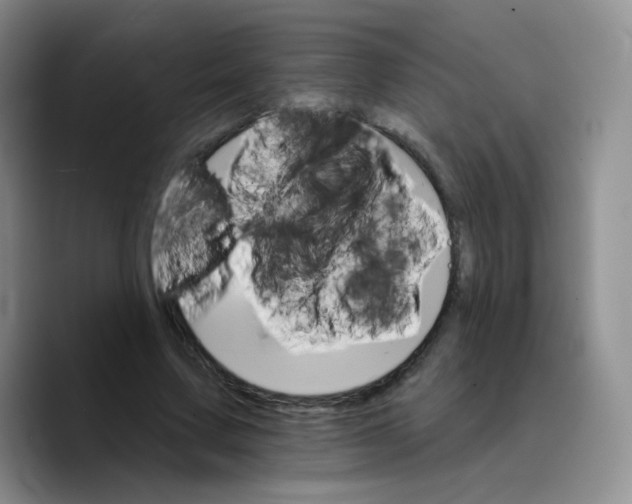 X0000089720683200707201821