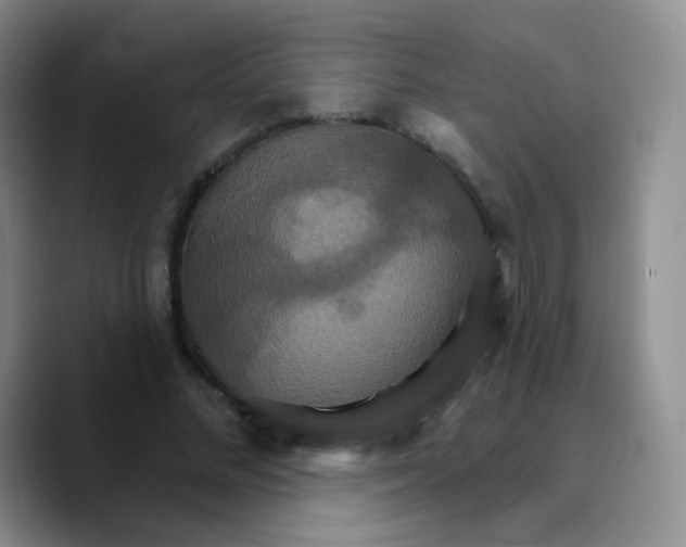 X0000089720684200707201821