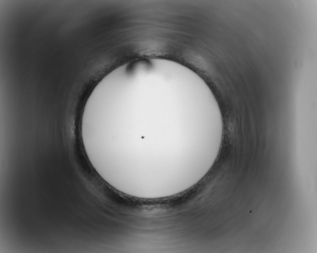 X0000089720686200707201821