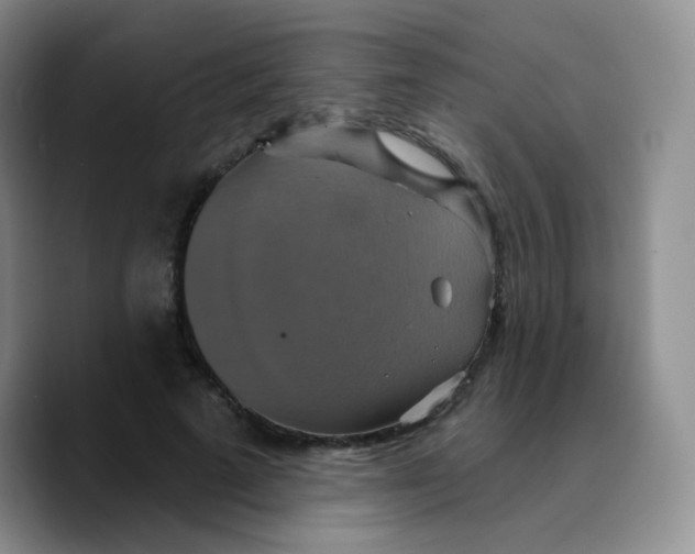 X0000089720689200707201821
