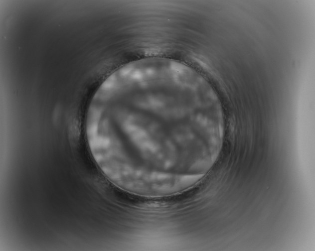 X0000089720691200707201821