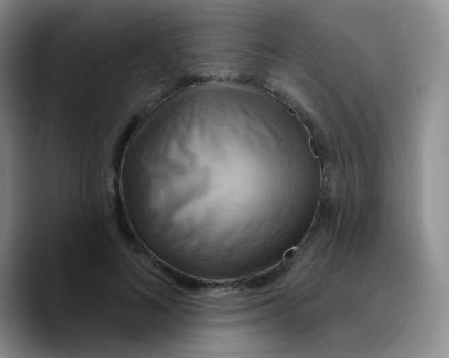 X0000089720692200707201821