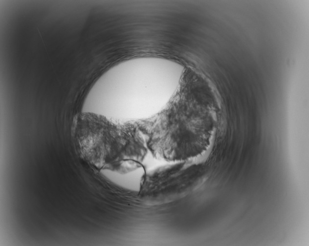 X0000089720695200707201821