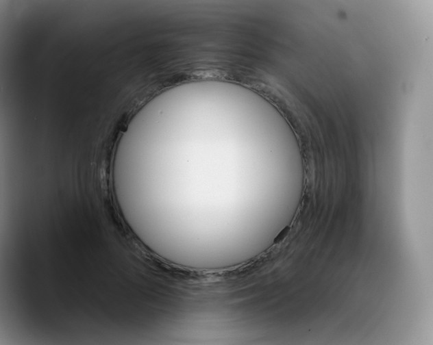 X0000089720696200707201821